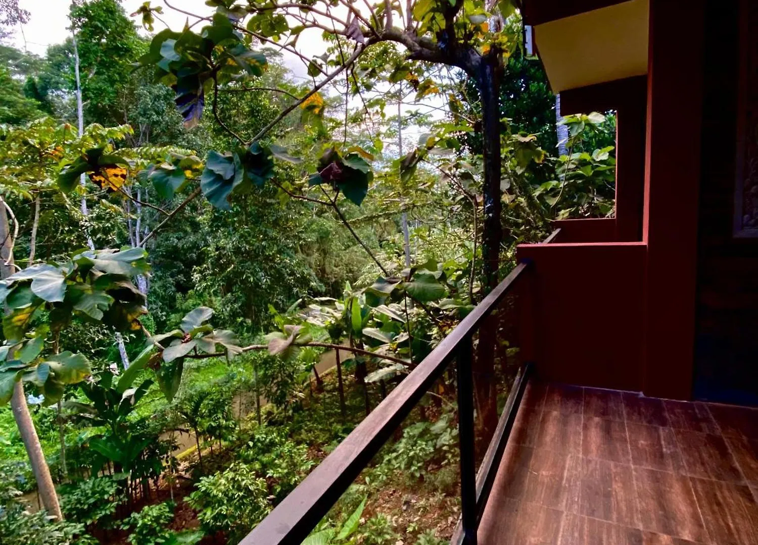 Guest house Umah Temuku Hotel Ubud  Indonesia